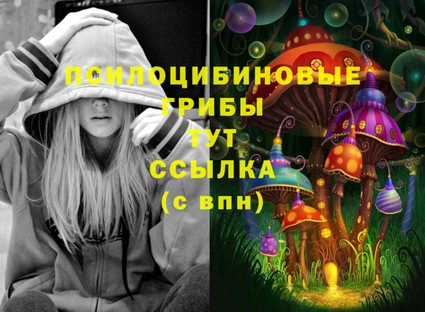 скорость Алексин