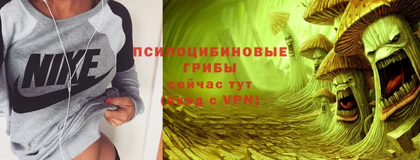 скорость Алексин
