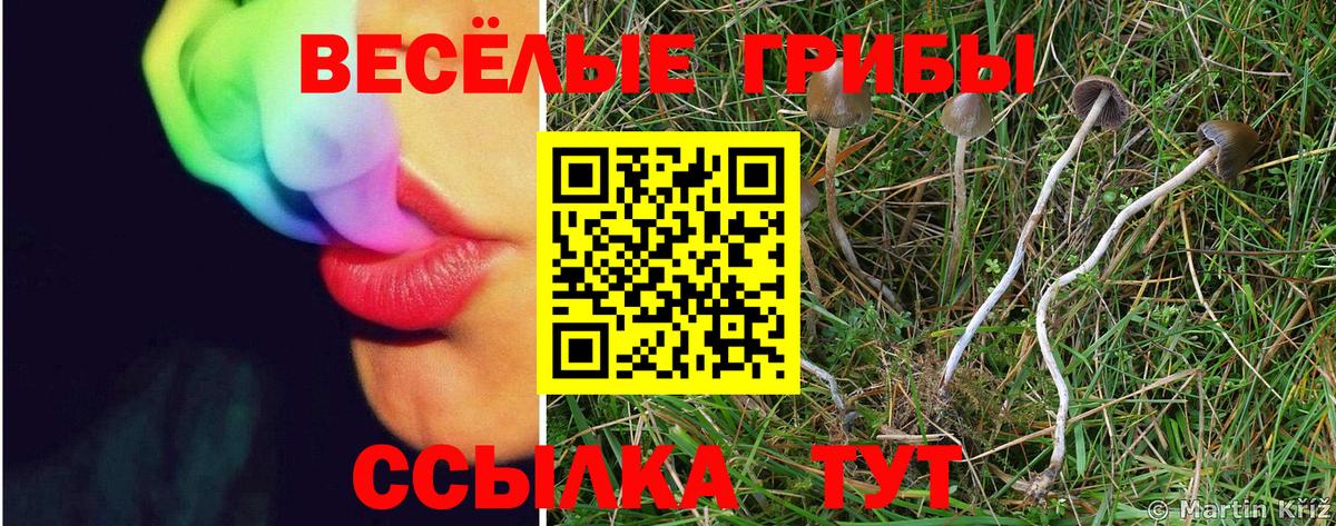 Псилоцибиновые грибы мухоморы Полысаево