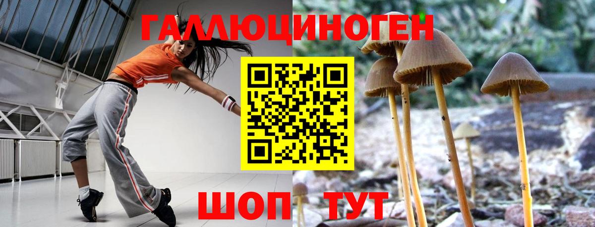Полысаево  Галлюциногенные грибы ЛСД  Вход с VPN 